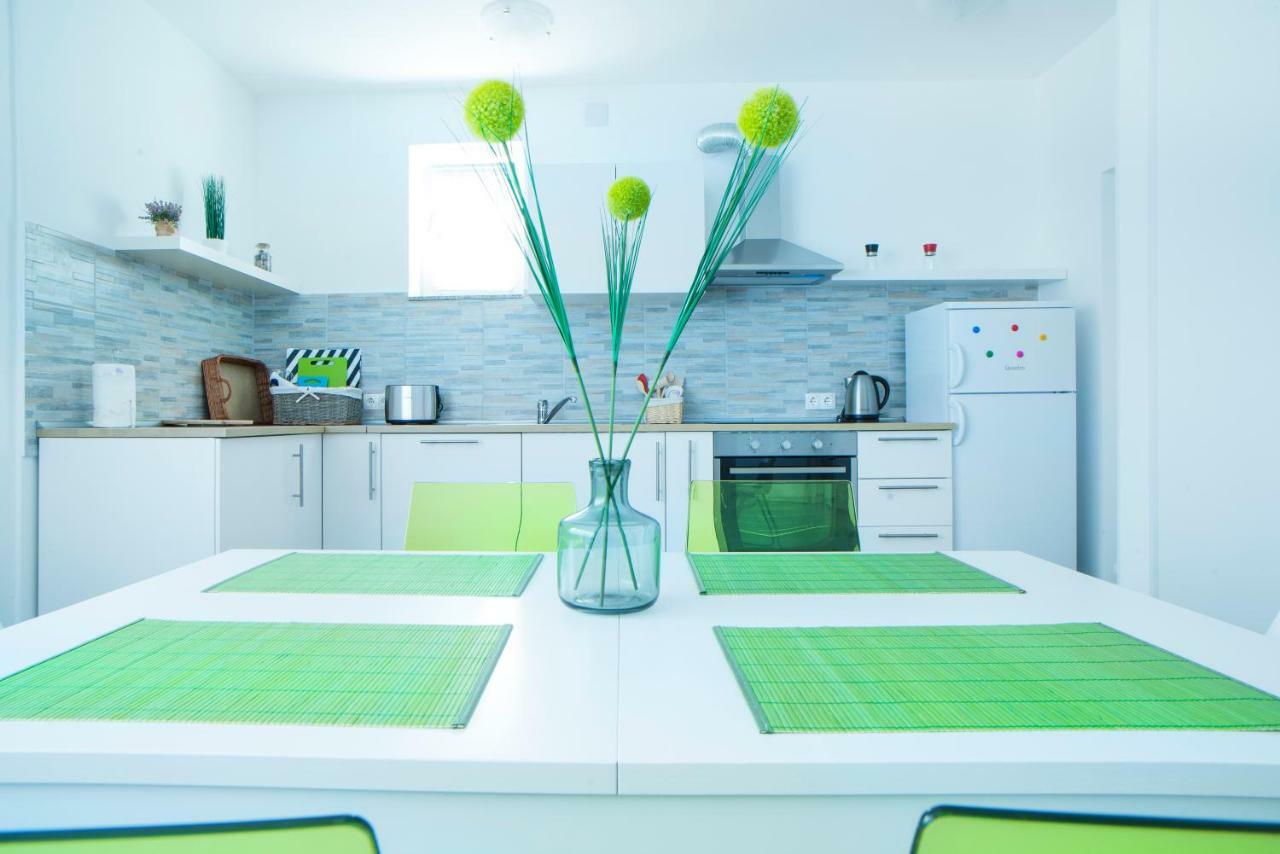 Apartman Visnja スルニュ エクステリア 写真