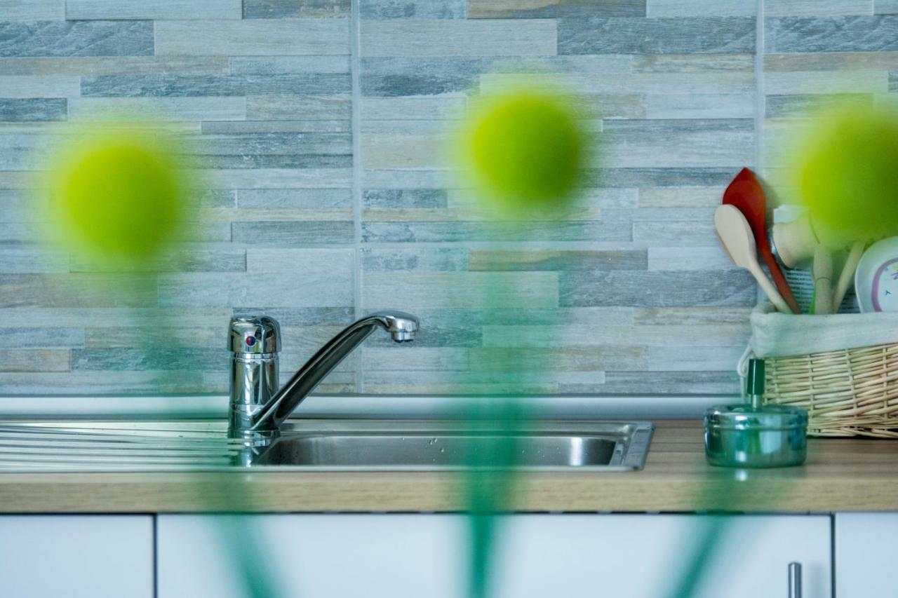 Apartman Visnja スルニュ エクステリア 写真