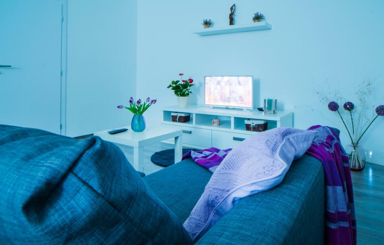Apartman Visnja スルニュ エクステリア 写真