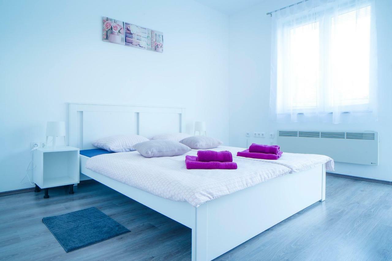 Apartman Visnja スルニュ エクステリア 写真
