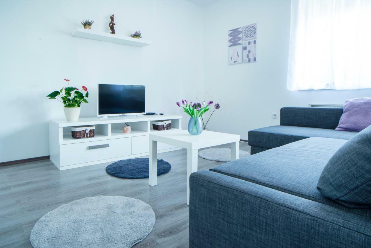 Apartman Visnja スルニュ エクステリア 写真