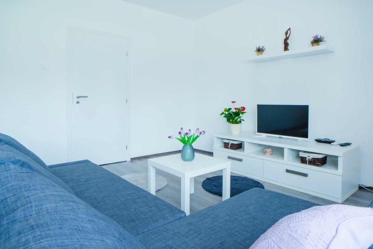 Apartman Visnja スルニュ エクステリア 写真