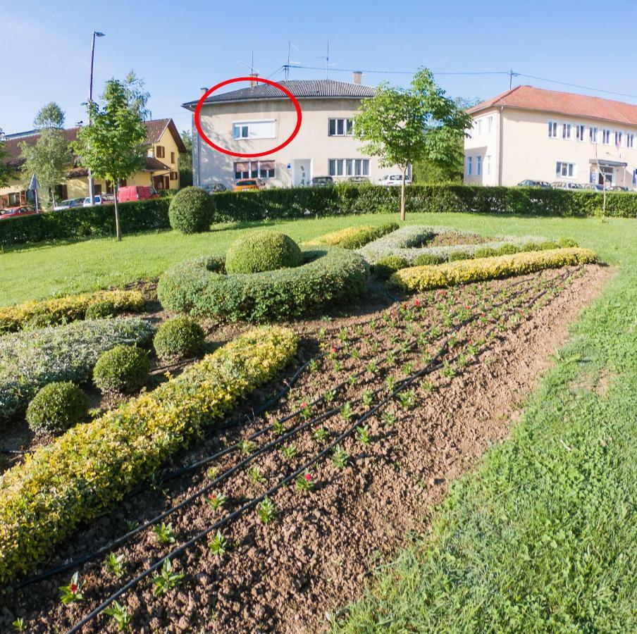 Apartman Visnja スルニュ エクステリア 写真
